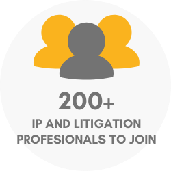 100+ IP and litigation professionals